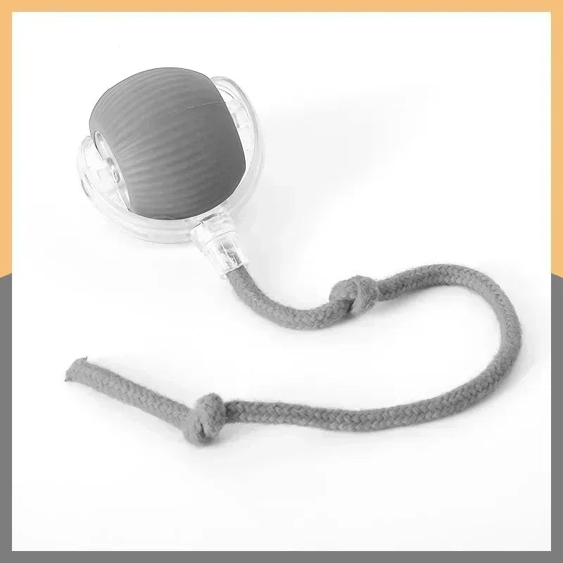 Interactive Dog Toy Ball for Enrichment | Kin & Kibble