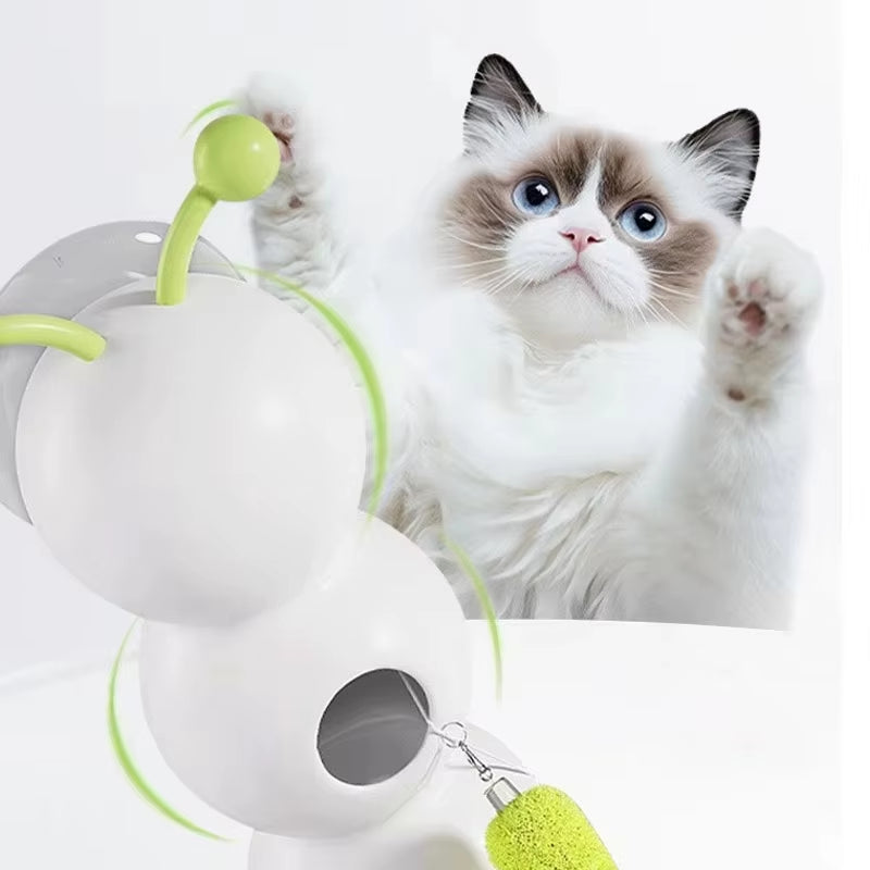 Caterpillar Interactive Cat Toy | Kin & Kibble