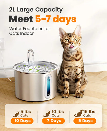 Cat Water Fountain for Fresh Daily Hydration | Kin & Kibble
