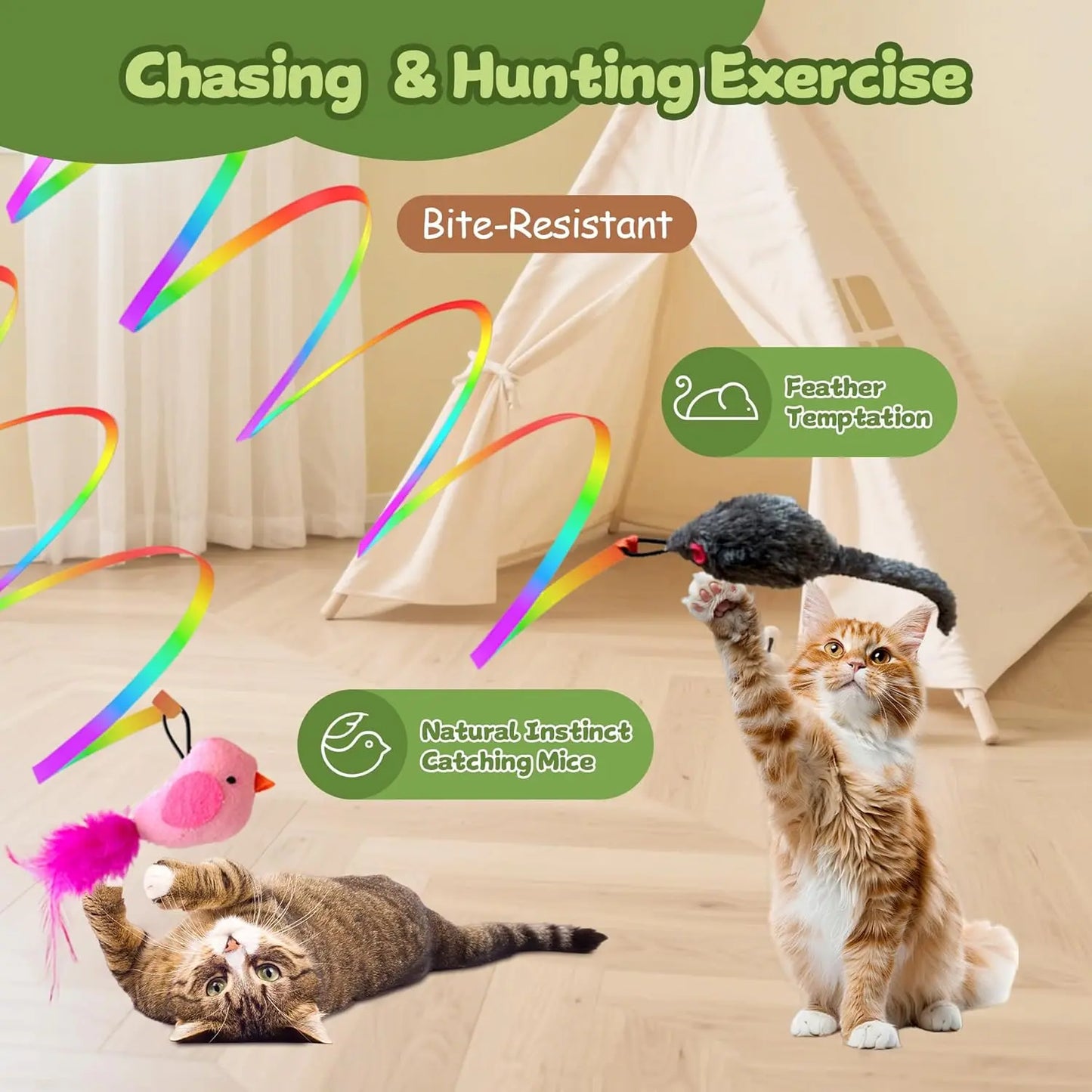 Hanging Cat Wand Toy for Indoor Play | Kin & Kibble