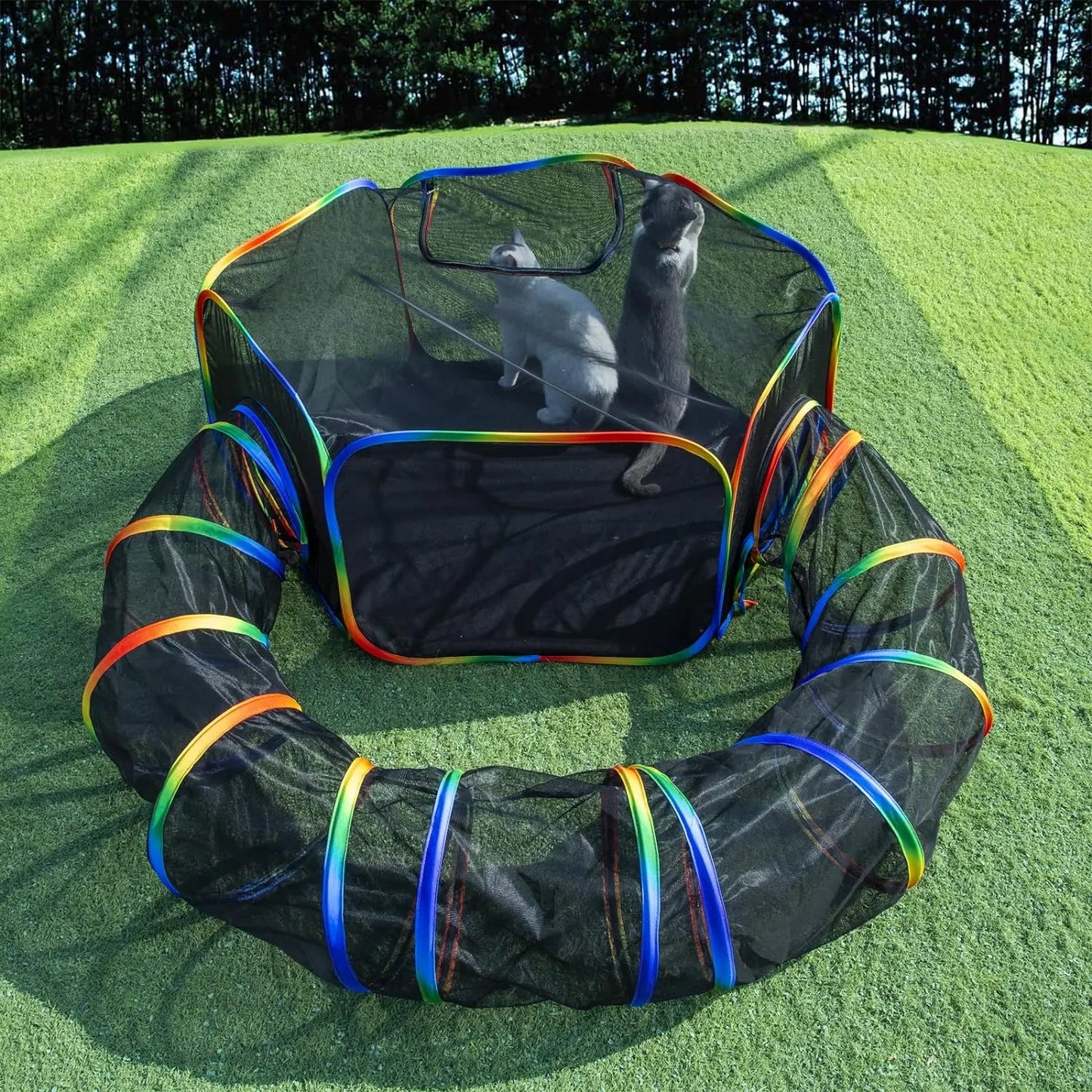 Cat Tent and Tunnel for Outdoor Play | Kin & Kibble