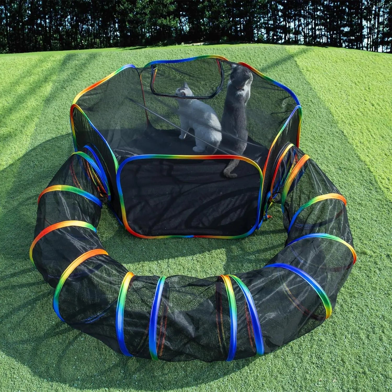 Cat Tent and Tunnel for Outdoor Play | Kin & Kibble