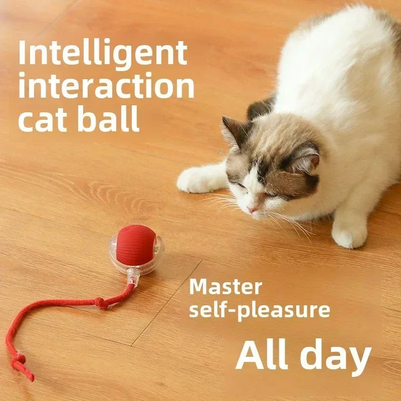Interactive Dog Toy Ball for Enrichment | Kin & Kibble