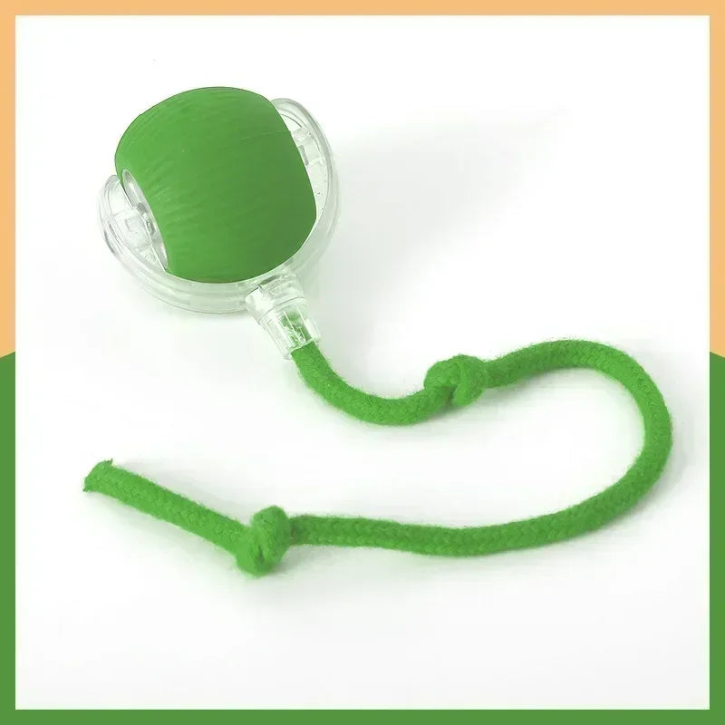 Interactive Dog Toy Ball for Enrichment | Kin & Kibble