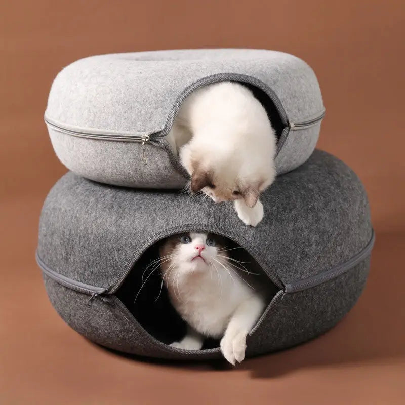 Cat Bed Tunnel for Indoor Play & Rest | Kin & Kibble