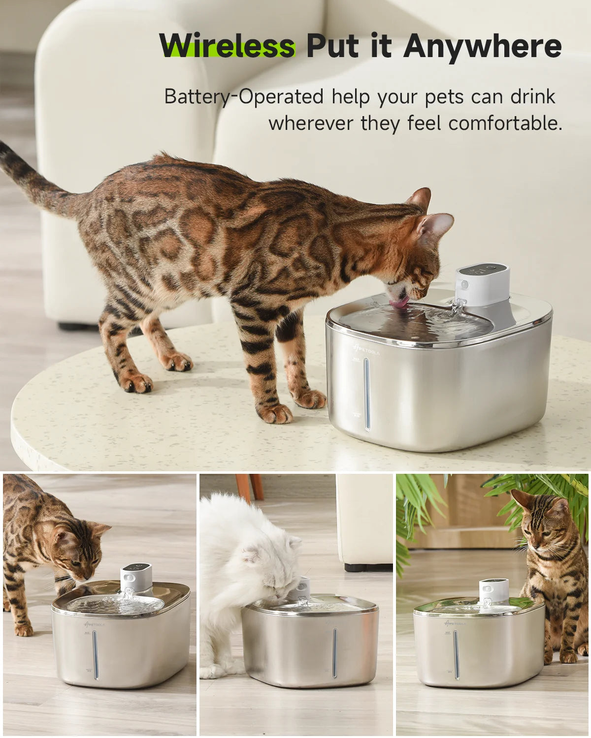 Wireless Pet Water Fountain for Cats & Dogs | Kin & Kibble
