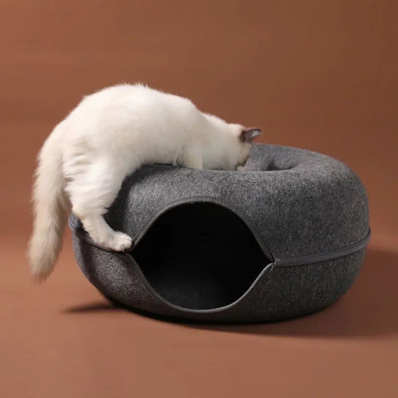 Cat Bed Tunnel for Indoor Play & Rest | Kin & Kibble