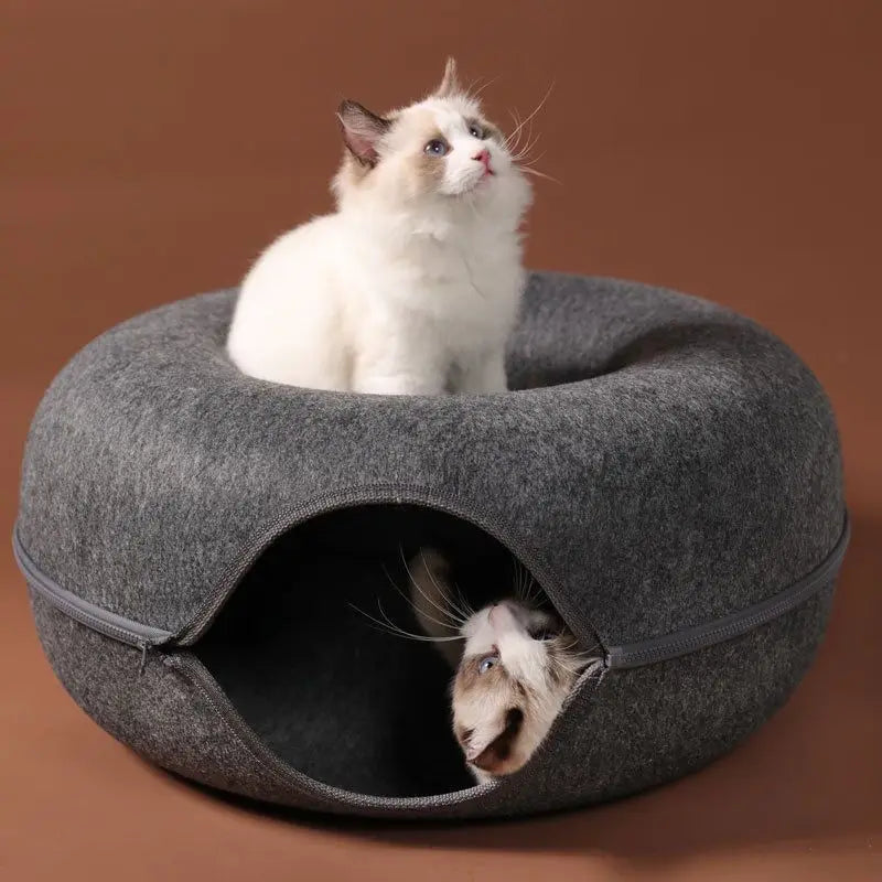 Cat Bed Tunnel for Indoor Play & Rest | Kin & Kibble