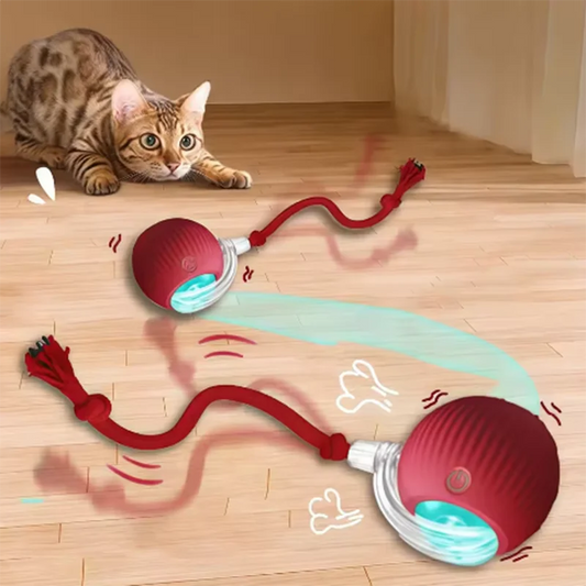 PounceRoll | Automatic Interactive Cat Teaser Ball