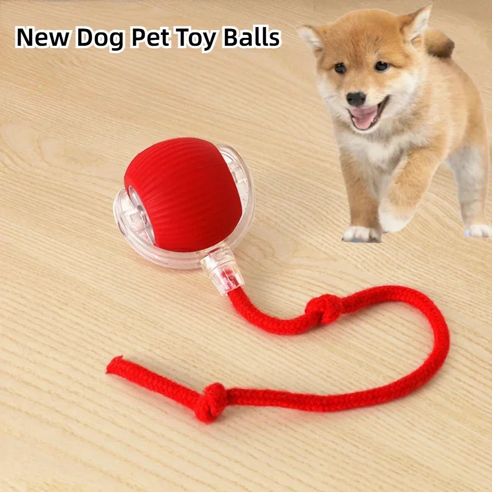 Interactive Dog Toy Ball for Enrichment | Kin & Kibble