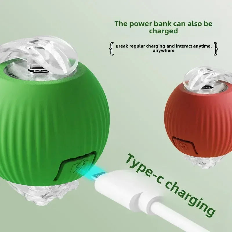 Interactive Dog Toy Ball for Enrichment | Kin & Kibble