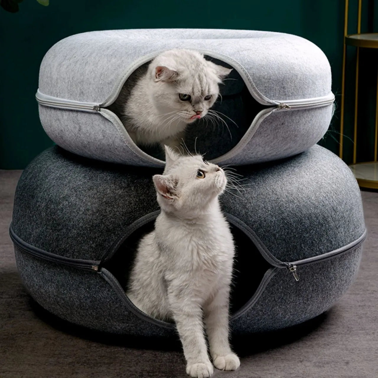 Cat Bed Tunnel for Indoor Play & Rest | Kin & Kibble