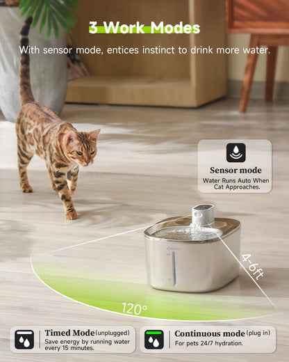 Wireless Pet Water Fountain for Cats & Dogs | Kin & Kibble