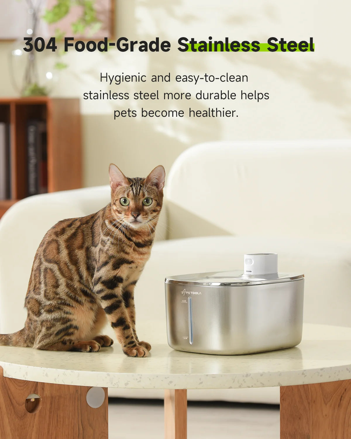 Wireless Pet Water Fountain for Cats & Dogs | Kin & Kibble