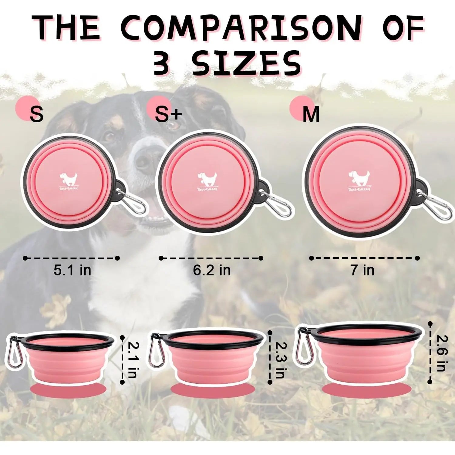 2-Pack Collapsible Dog Bowls for Travel & Walks