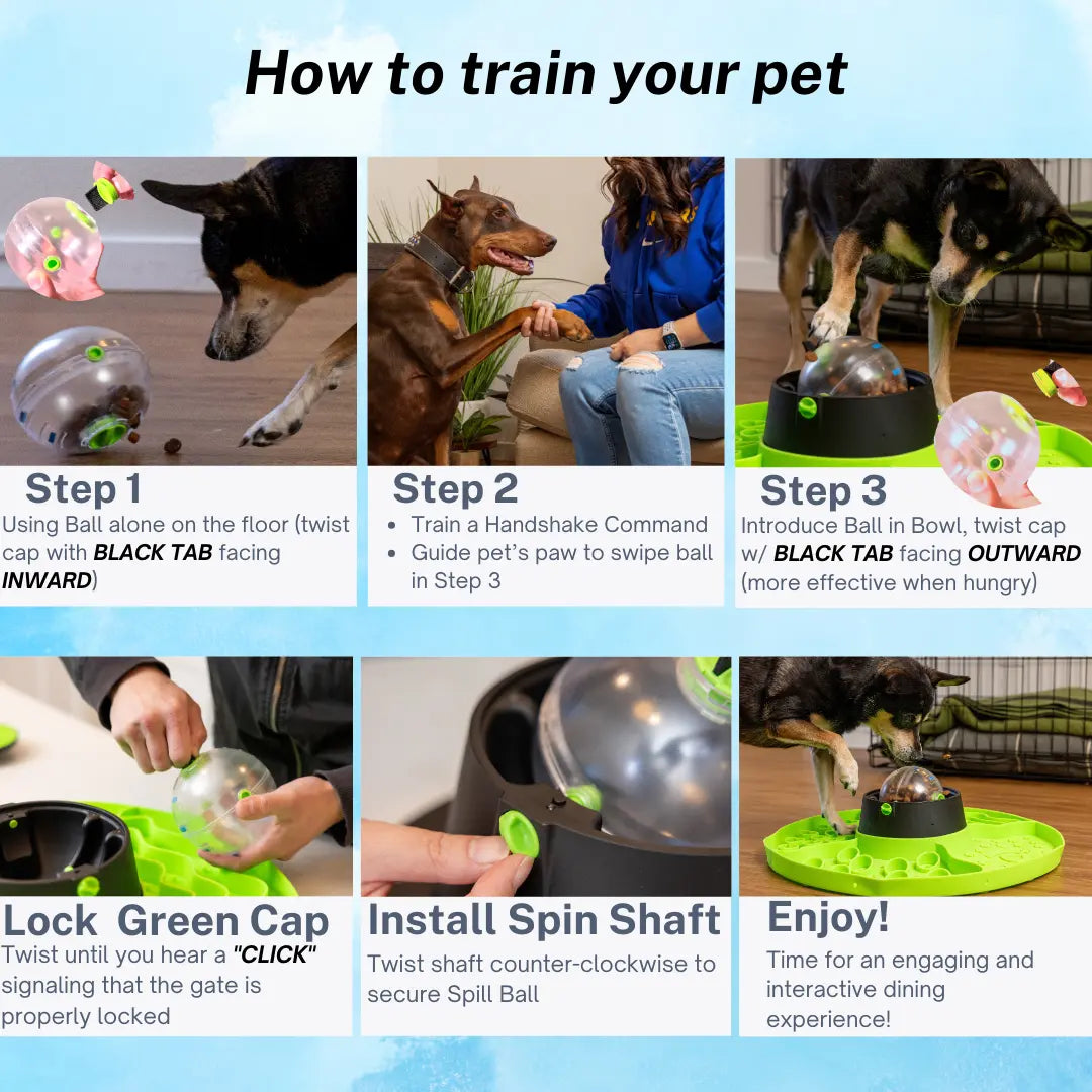 Dog & Cat Slow Feeder Snuffle Mat Puzzle