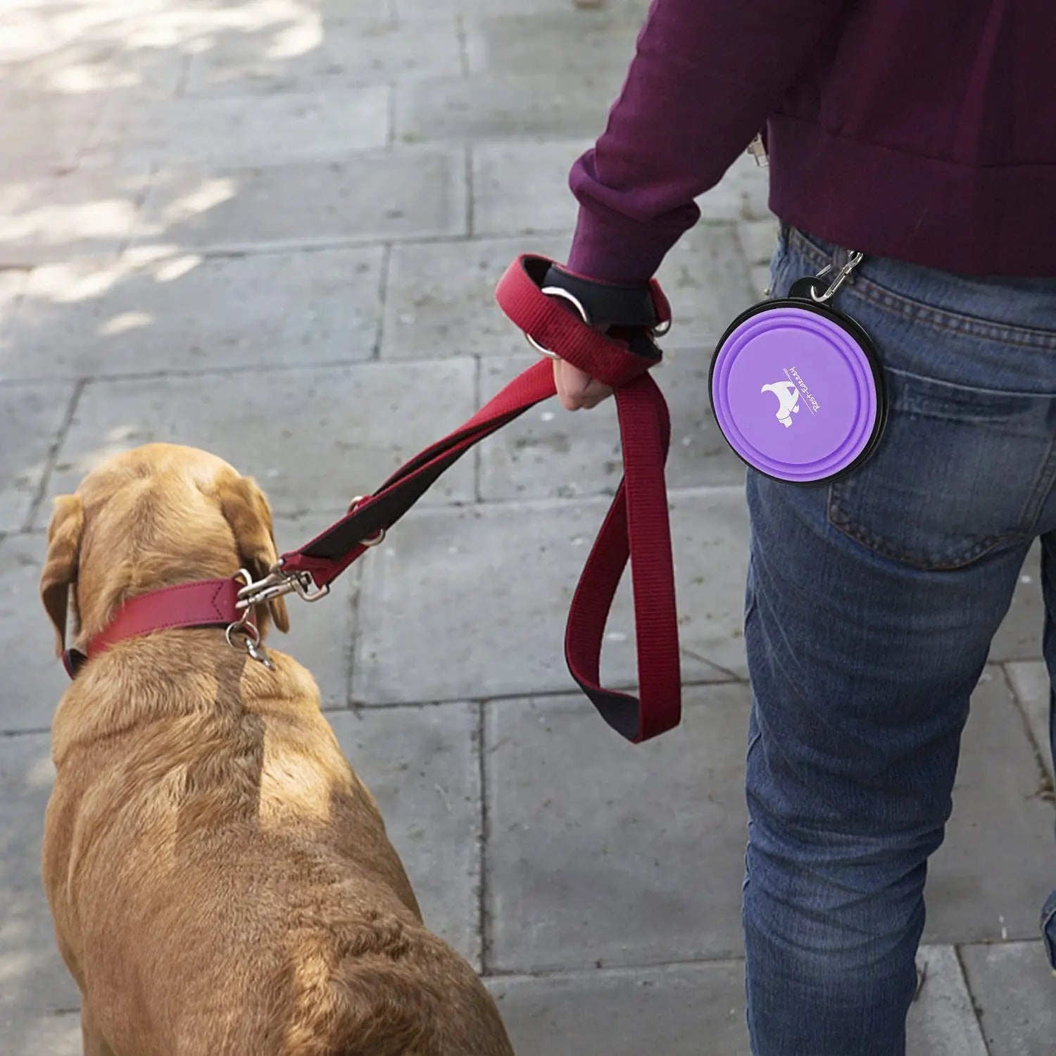 2-Pack Collapsible Dog Bowls for Travel & Walks