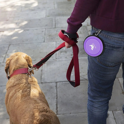2-Pack Collapsible Dog Bowls for Travel & Walks
