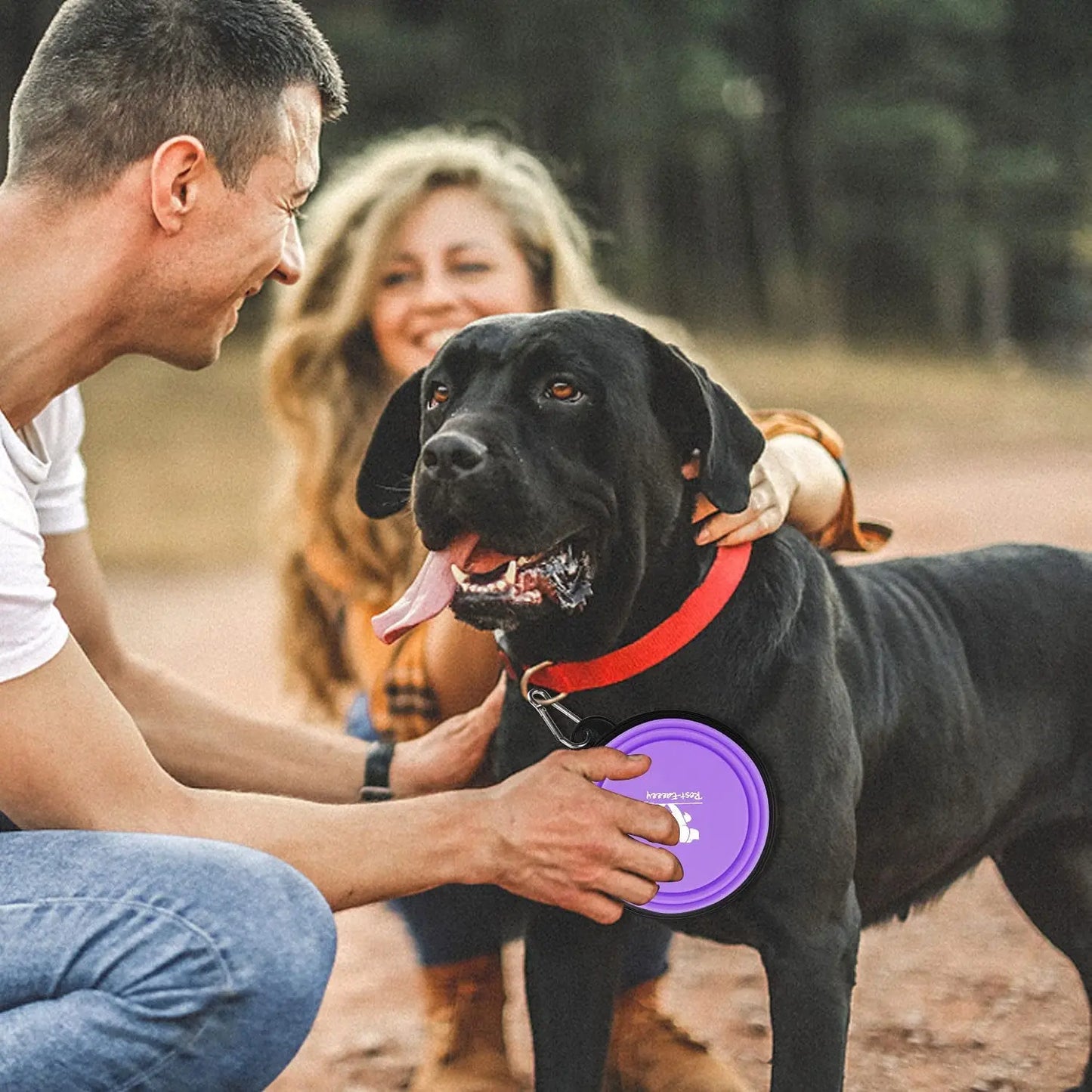 2-Pack Collapsible Dog Bowls for Travel & Walks