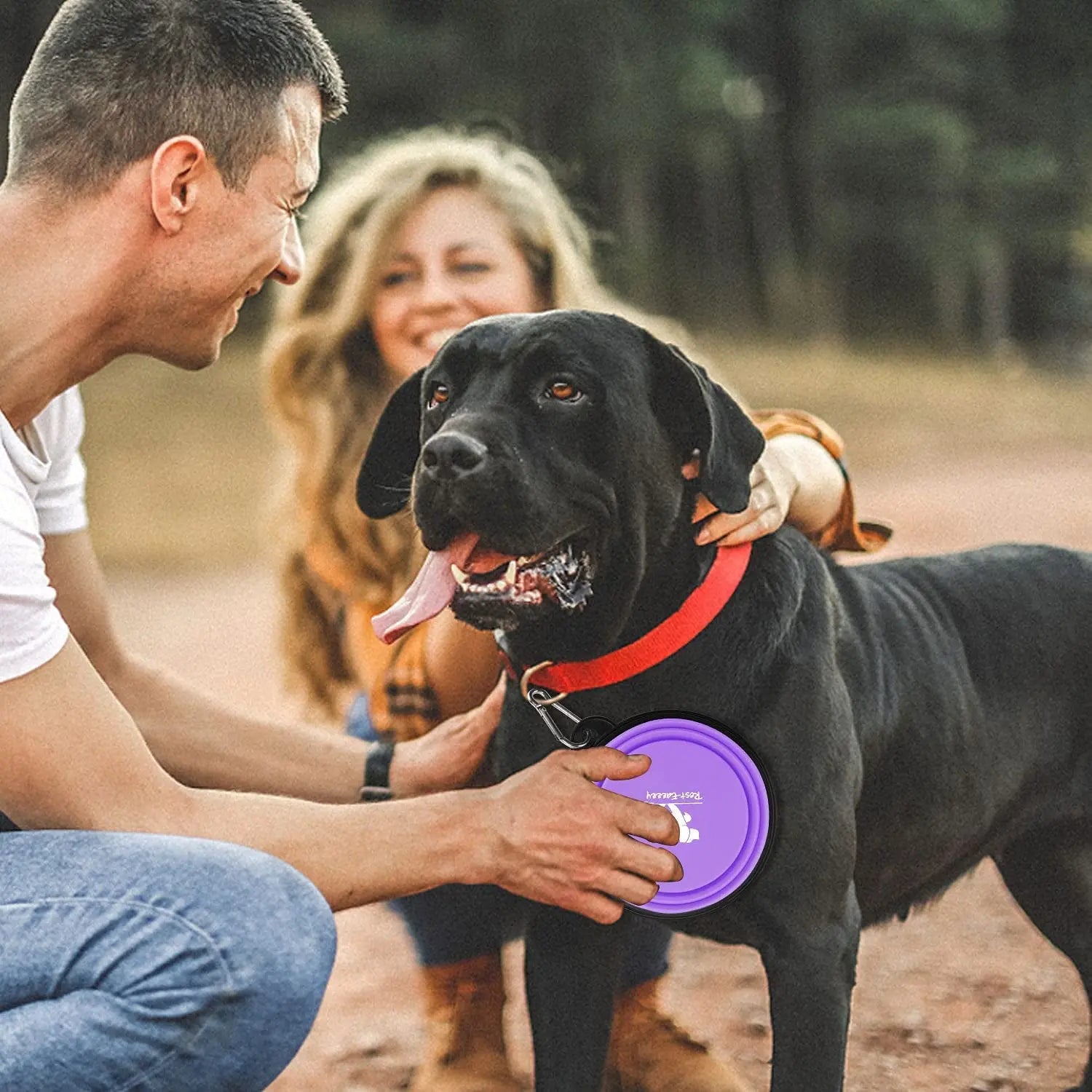 2-Pack Collapsible Dog Bowls for Travel & Walks