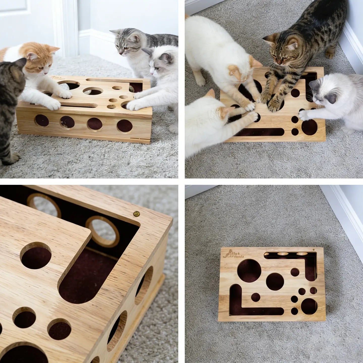 Transform Your Cat's Nail Care Routine with the Cat Nail File Scratch Enrichment Box - A Fun, Stress-Free Solution for Indoor Cats!