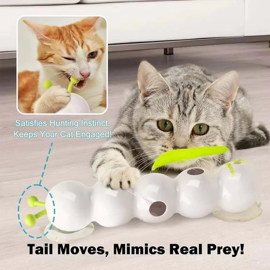 Caterpillar Interactive Cat Toy | Kin & Kibble