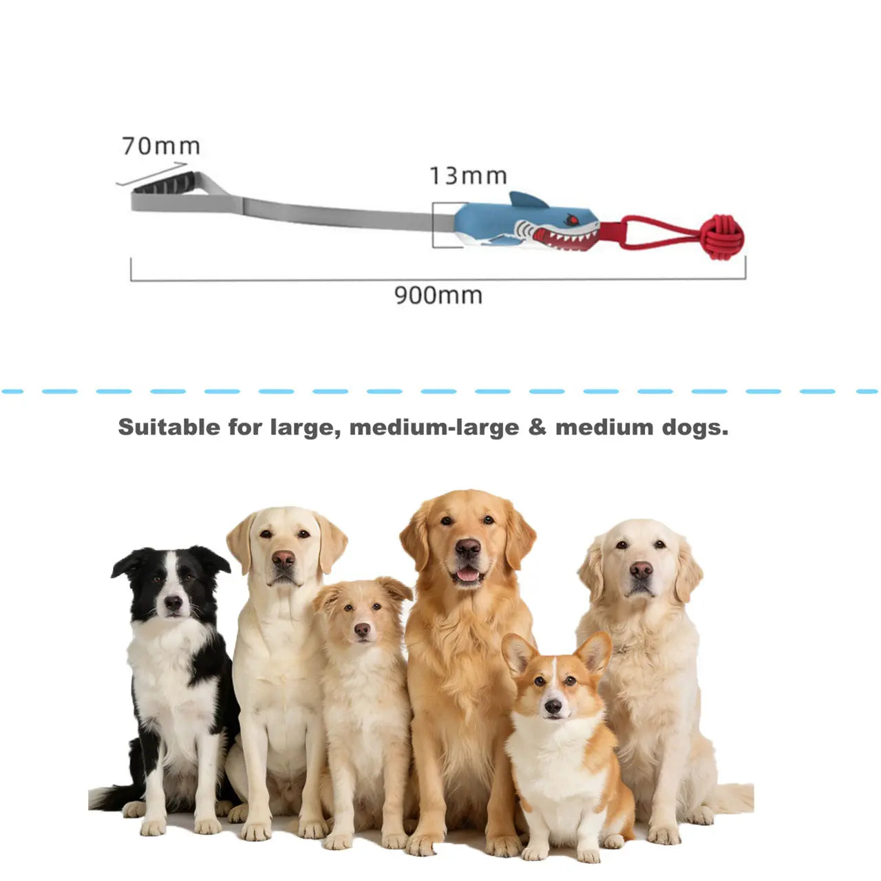 Interactive Dog Tug Toy for Bonding Play | Kin & Kibble