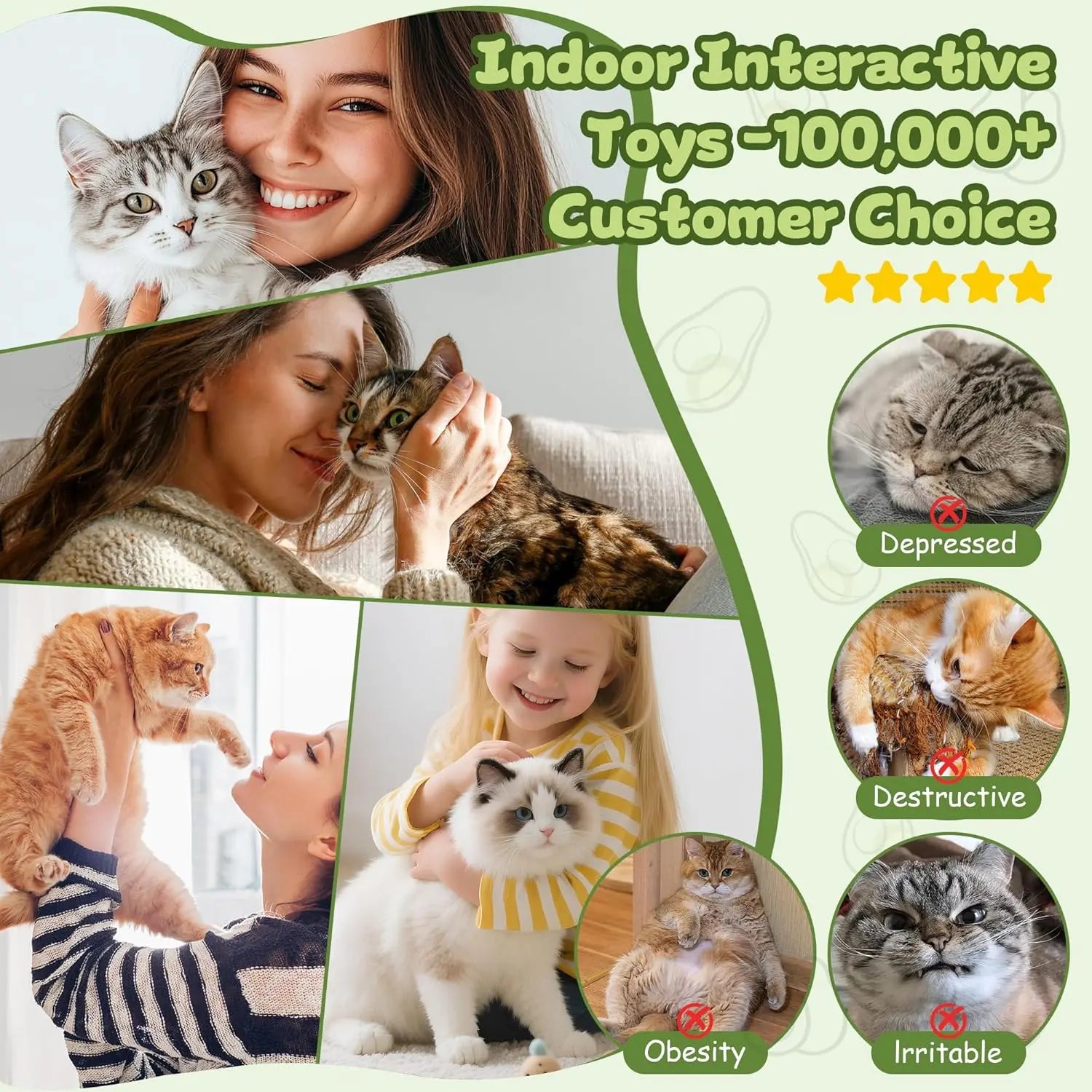 Hanging Cat Wand Toy for Indoor Play | Kin & Kibble