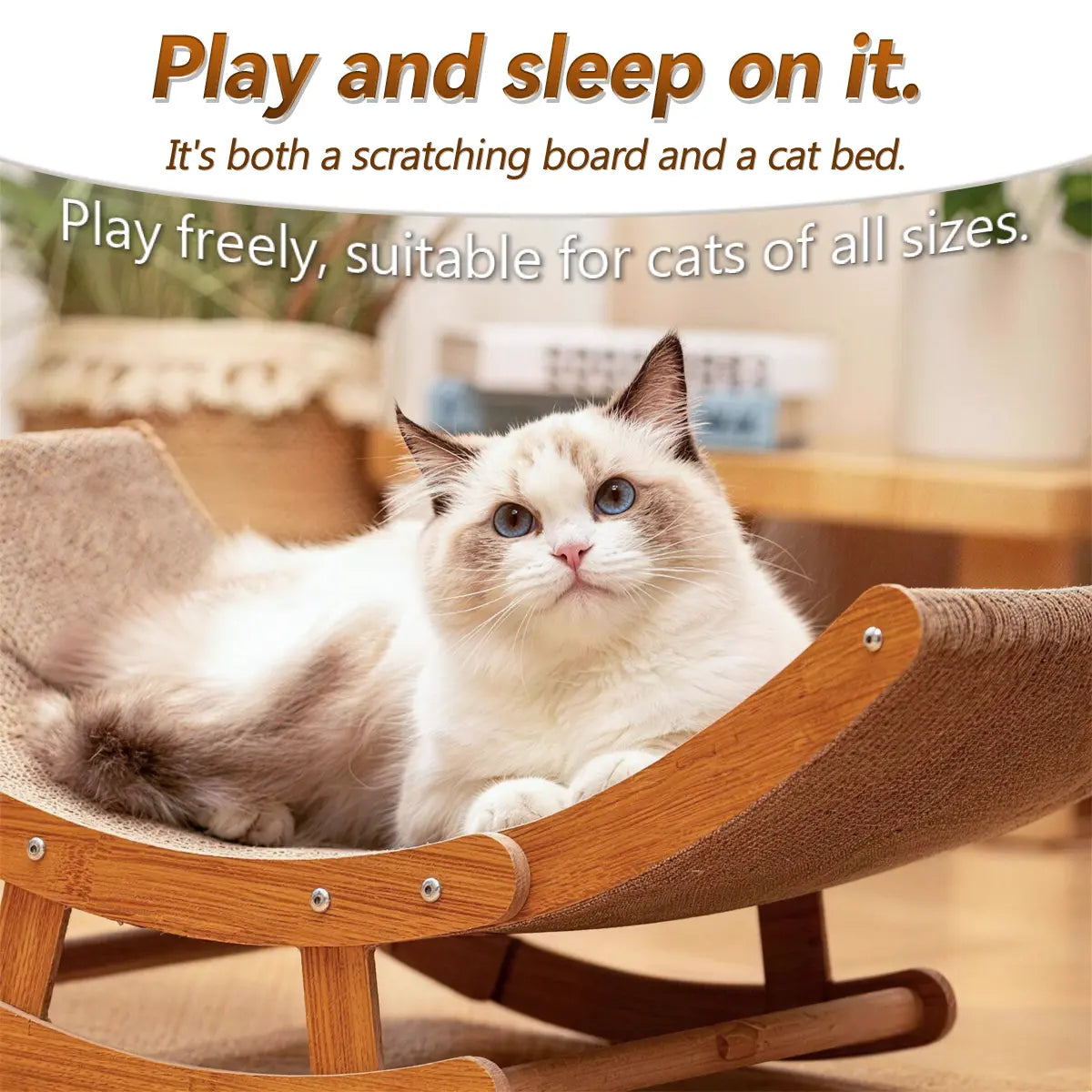 Cat Scratcher Bed for Indoor Cats | Kin & Kibble