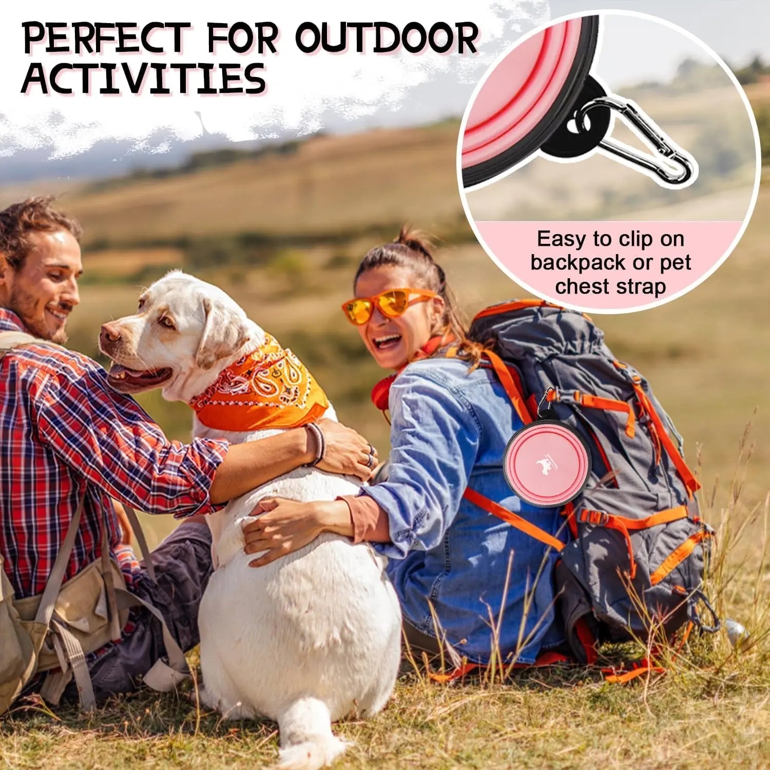 2-Pack Collapsible Dog Bowls for Travel & Walks