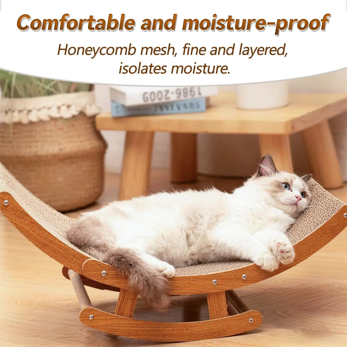 Cat Scratcher Bed for Indoor Cats | Kin & Kibble